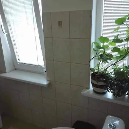 Kinds Of Rent In The Center Гостьовий будинок *
