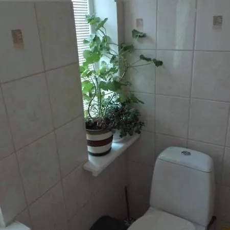 Affittacamere Kinds Of Rent In The Center *