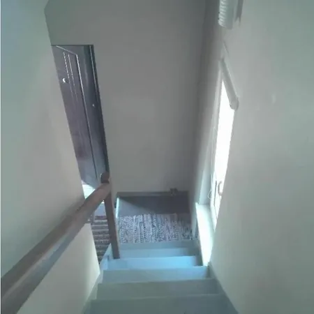Kinds Of Rent In The Center Palanga