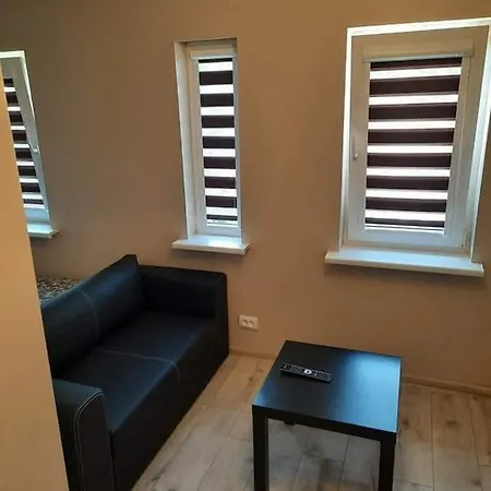 Kinds Of Rent In The Center Гостьовий будинок Паланга