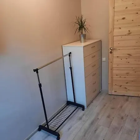 Kinds Of Rent In The Center Паланга