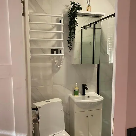 Kinds Of Rent In The Center Affittacamere Palanga
