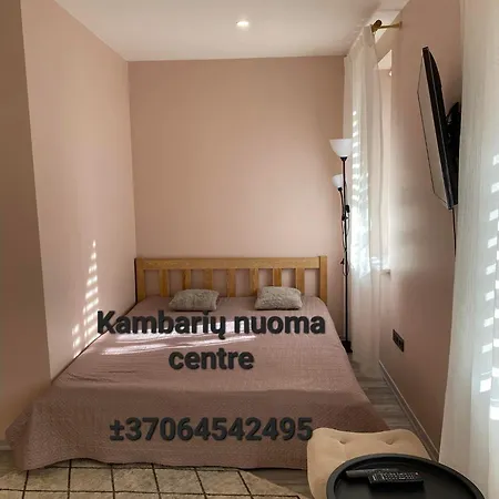 Kinds Of Rent In The Center Palanga