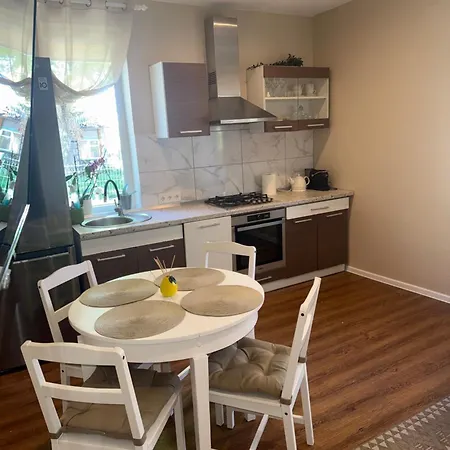 Kinds Of Rent In The Center *