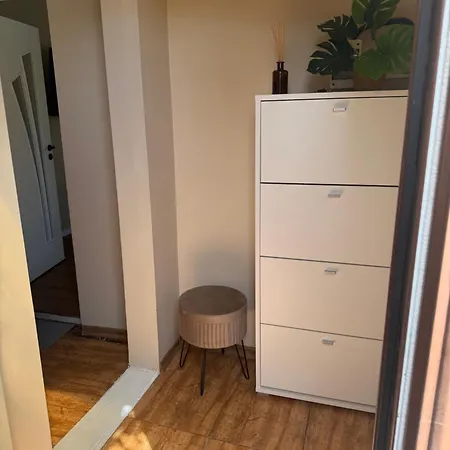 Kinds Of Rent In The Center *