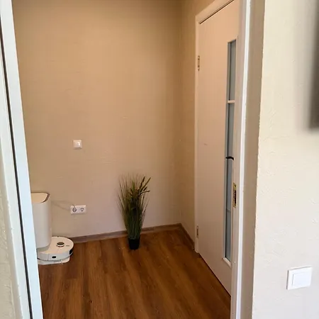 Kinds Of Rent In The Center Palanga