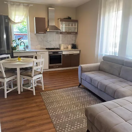 Kinds Of Rent In The Center Affittacamere