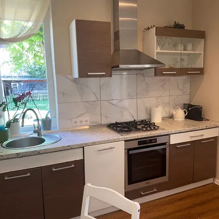Kinds Of Rent In The Center * Palanga