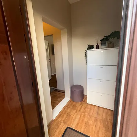 Kinds Of Rent In The Center Palanga